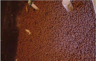 深圳哪家建材廠家工程陶粒報(bào)價(jià)較低？采購指南與廠家推薦