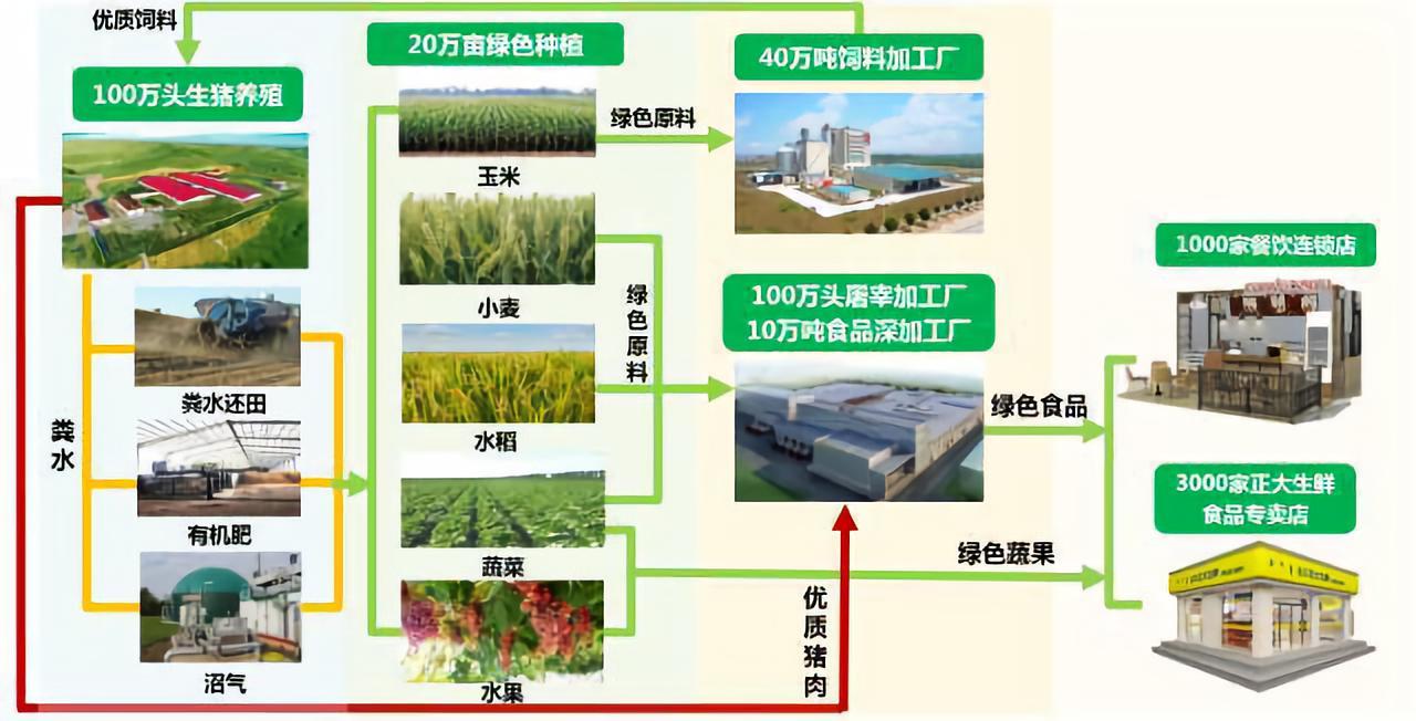 21世紀(jì)農(nóng)業(yè)“接地氣”新篇章 種養(yǎng)結(jié)合模式的價(jià)值與商業(yè)機(jī)遇